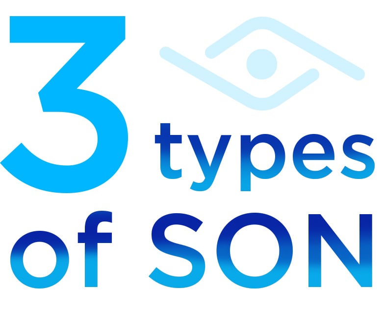 3 Types of SON